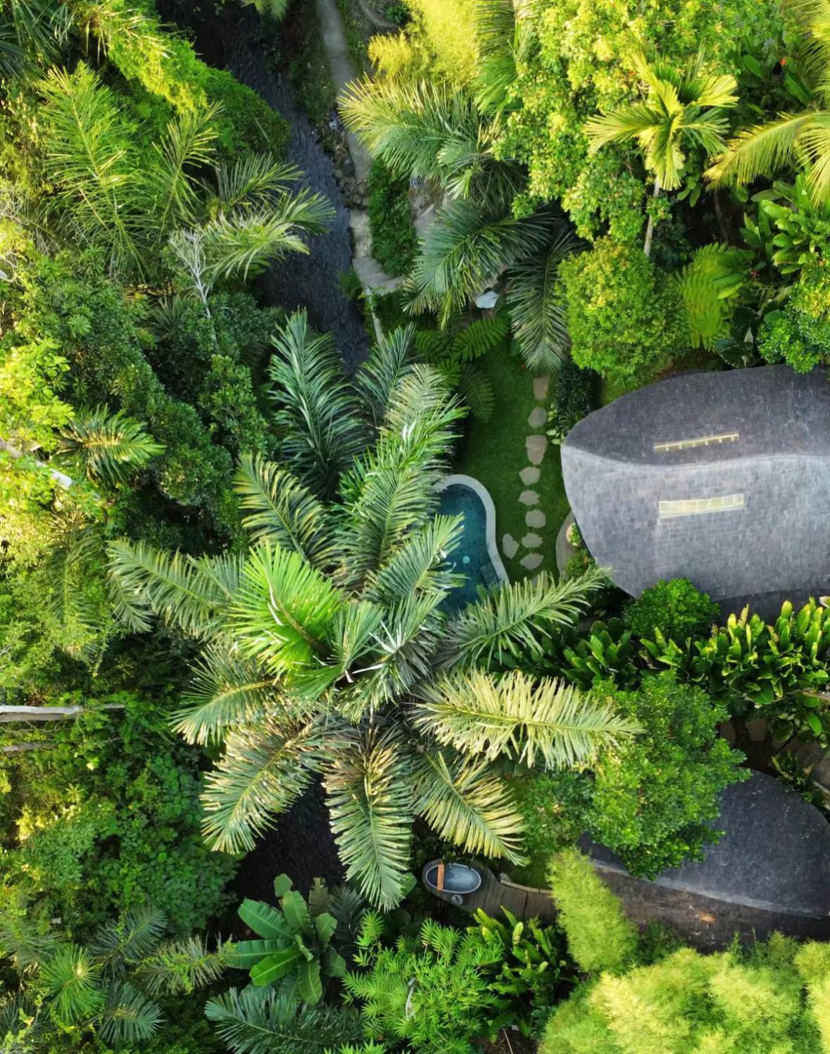 Wahem Eco Bamboo - Magical Bamboo House Ubud Bali Vila Exterior foto